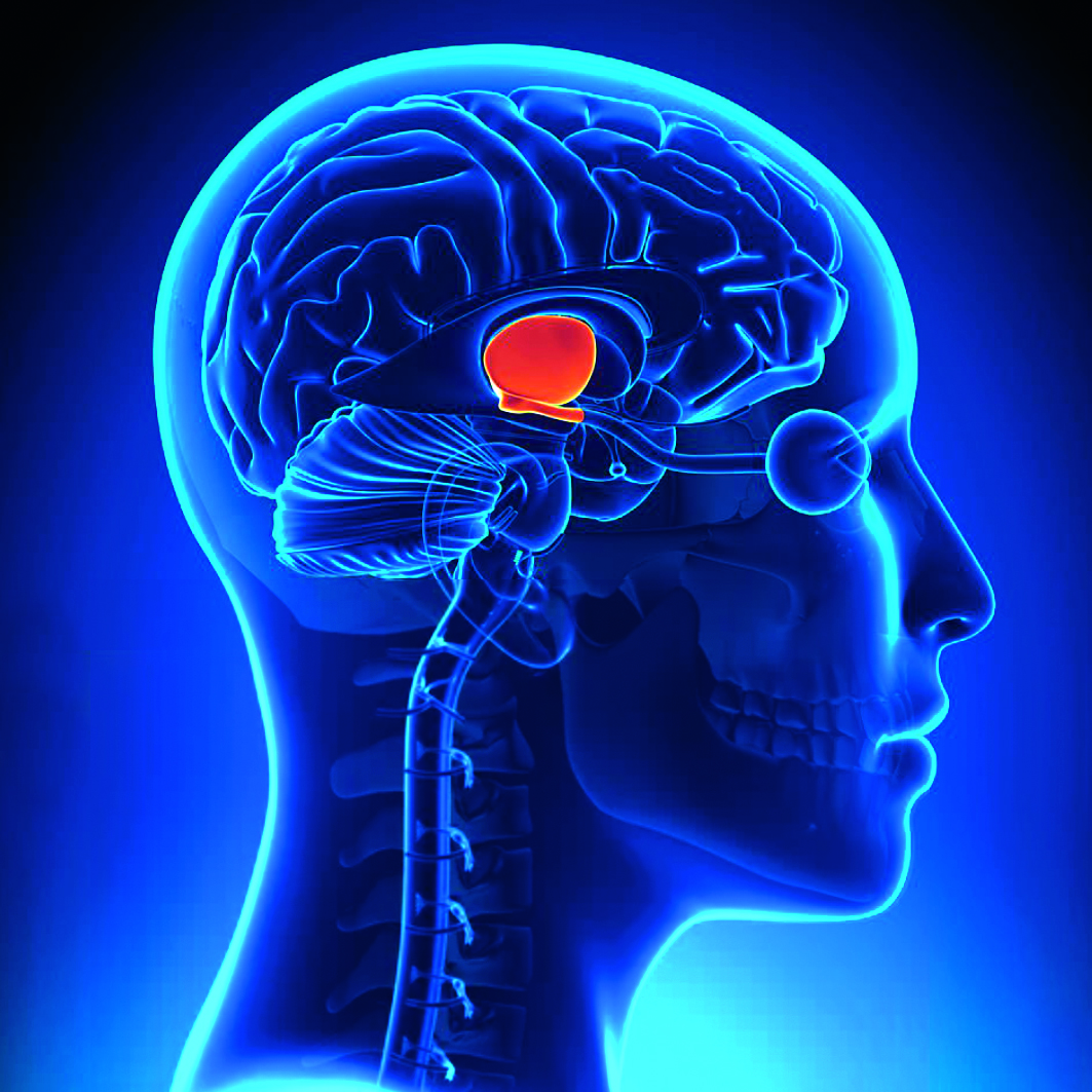 Заболевания гипоталамо-гипофизарной системы